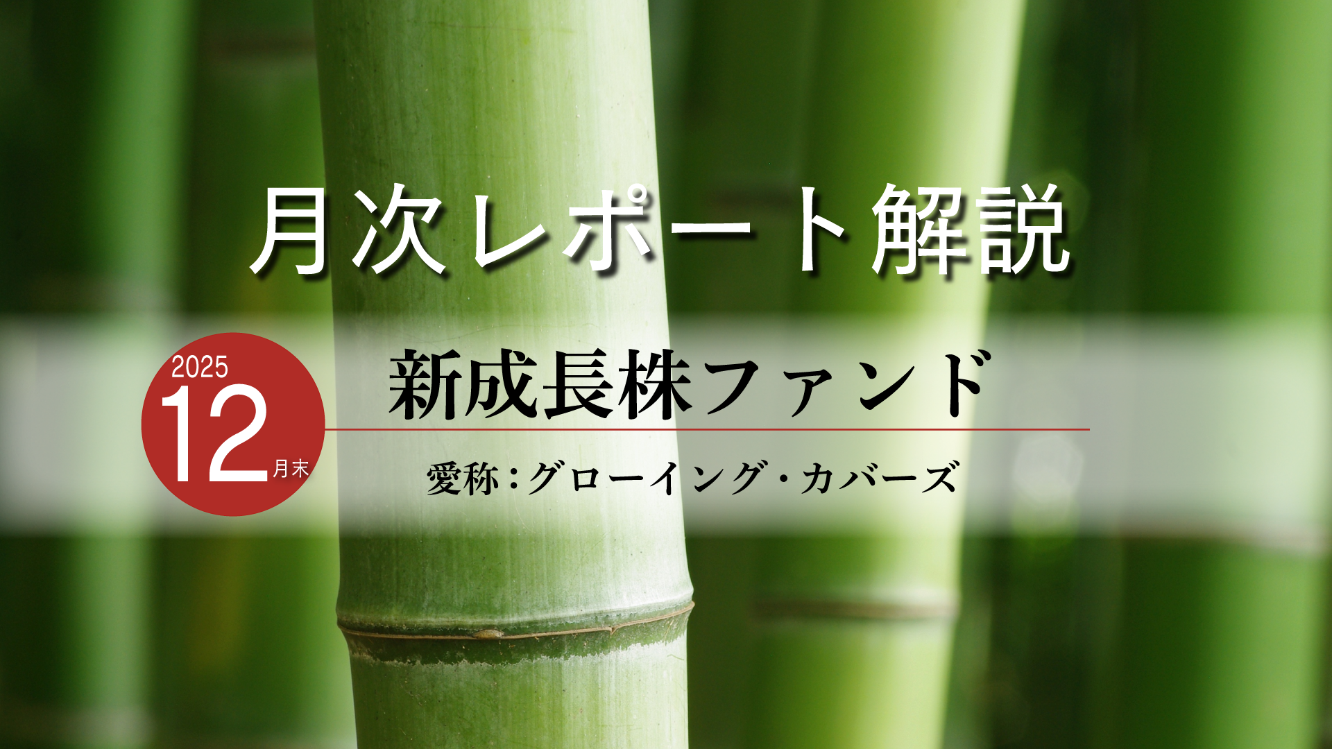 新成長株ファンド　愛称：グローイング・カバーズ　月次レポート解説動画（12月末時点）