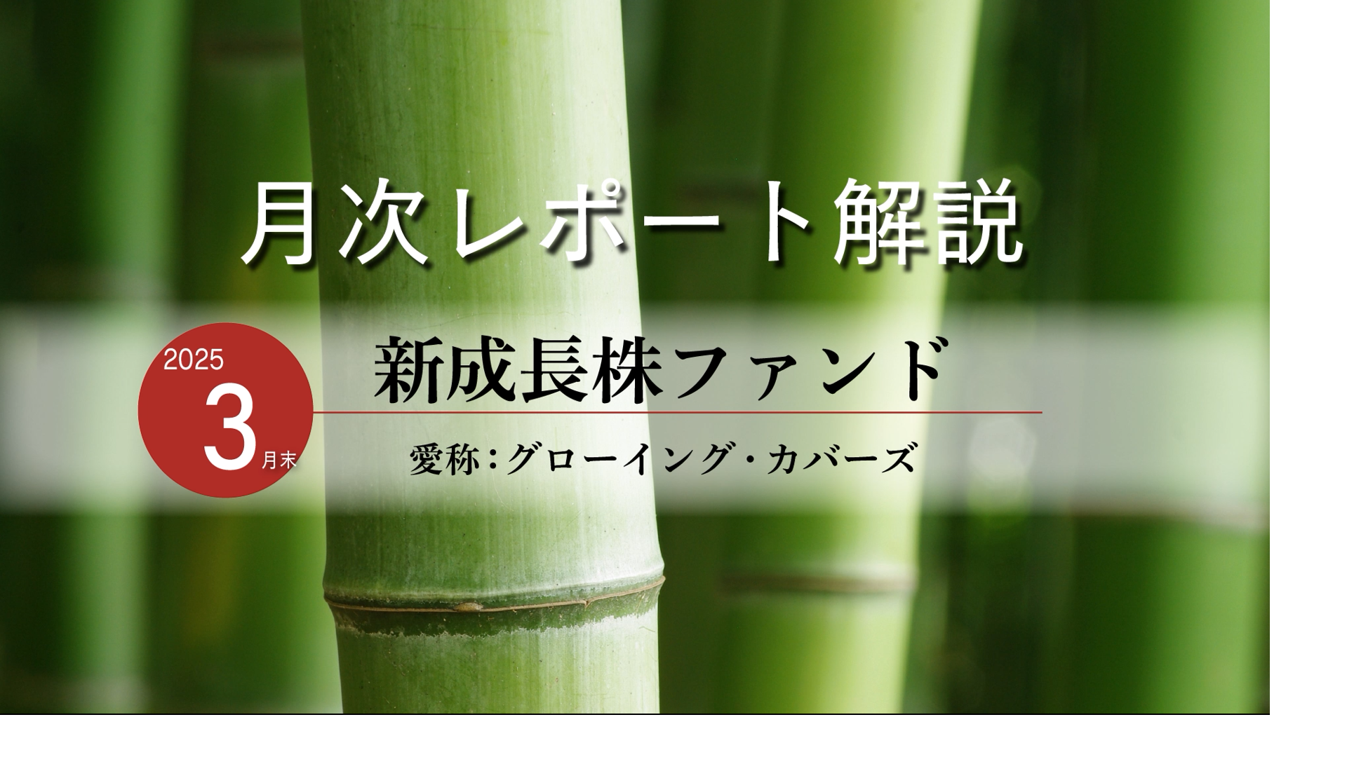 新成長株ファンド　愛称：グローイング・カバーズ　月次レポート解説動画（3月末時点）